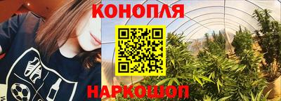 индика Моздок