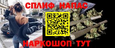 индика Моздок