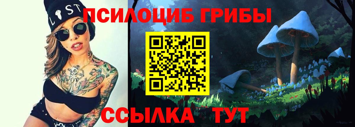 Галлюциногенные грибы Magic Shrooms  Галлюциногенные грибы мицелий  Северск  Вход с VPN 